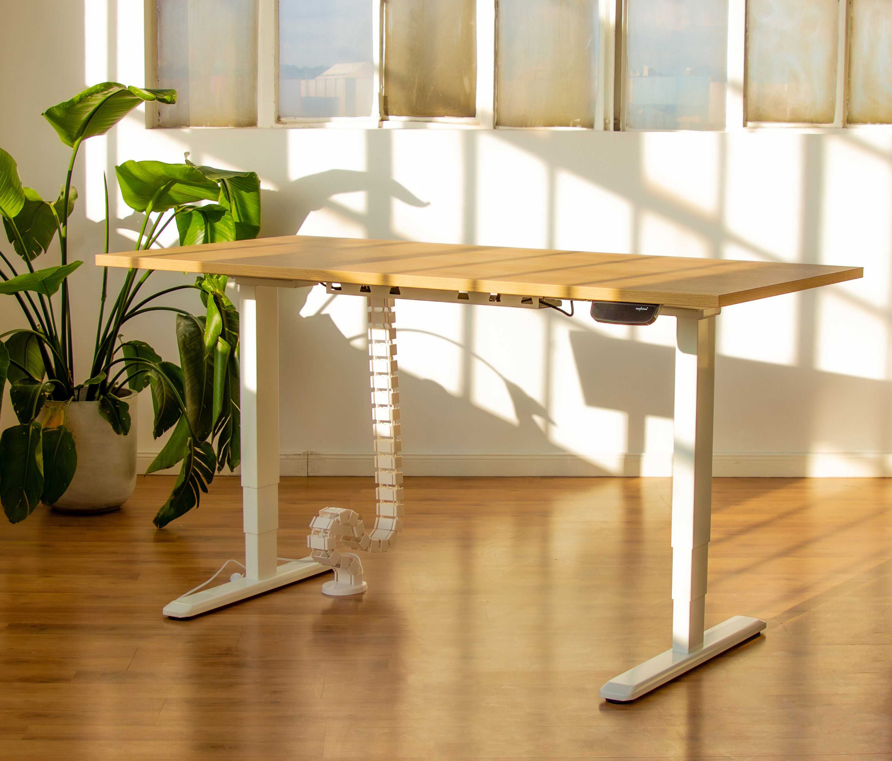 PRIMUS Schreibtisch XL Weiß 200x90 Eiche