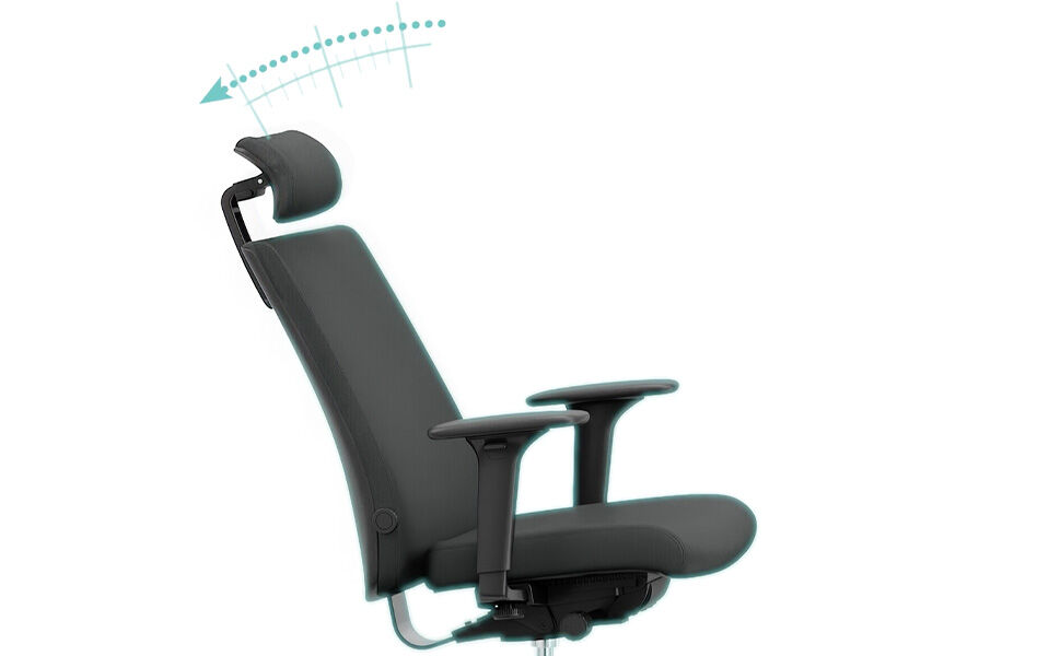 INSTELLINGEN VAN DE RUGLEUNING