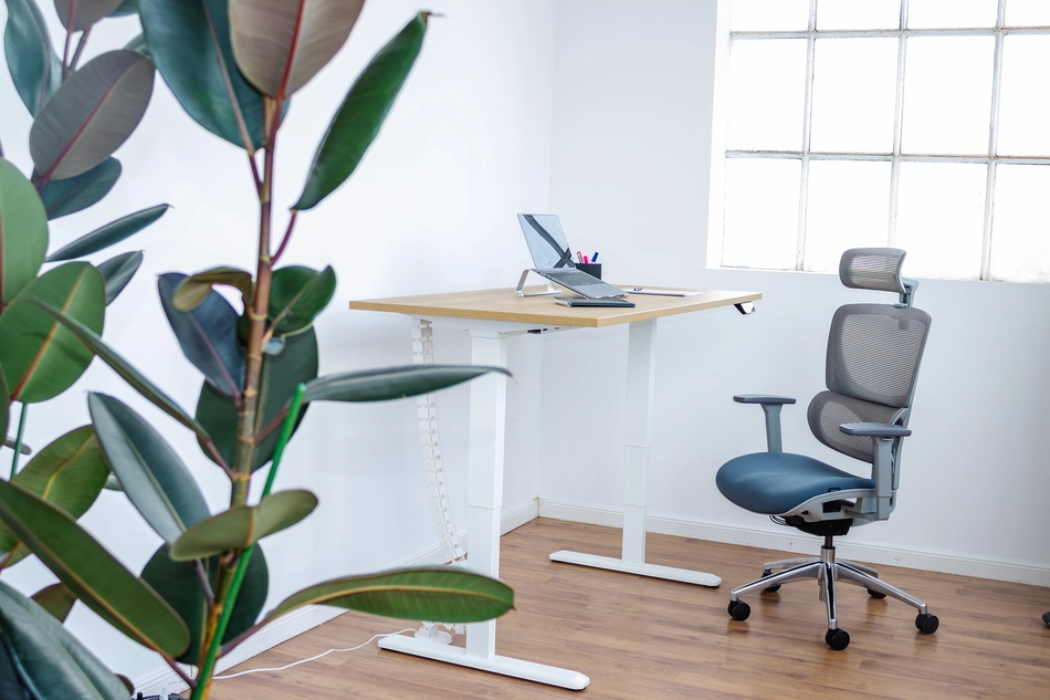 PRIMUS SCHREIBTISCH SPEED