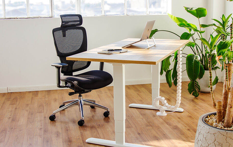 PRIMUS SCHREIBTISCH / PRIMUS SCHREIBTISCH XL