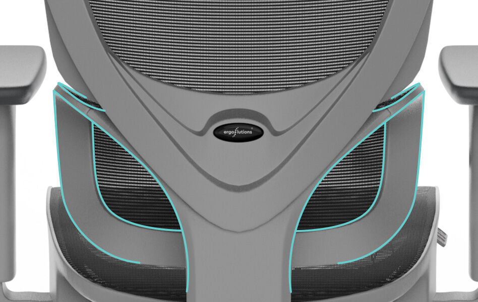 GEFEDERTE LORDOSENSTÜTZE