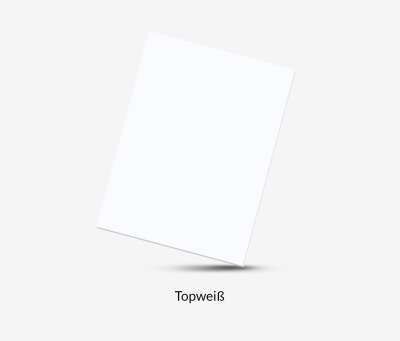 FOKUS Gestell Grau, Tischplatte 1200 x 700 x 19 mm Topweiß