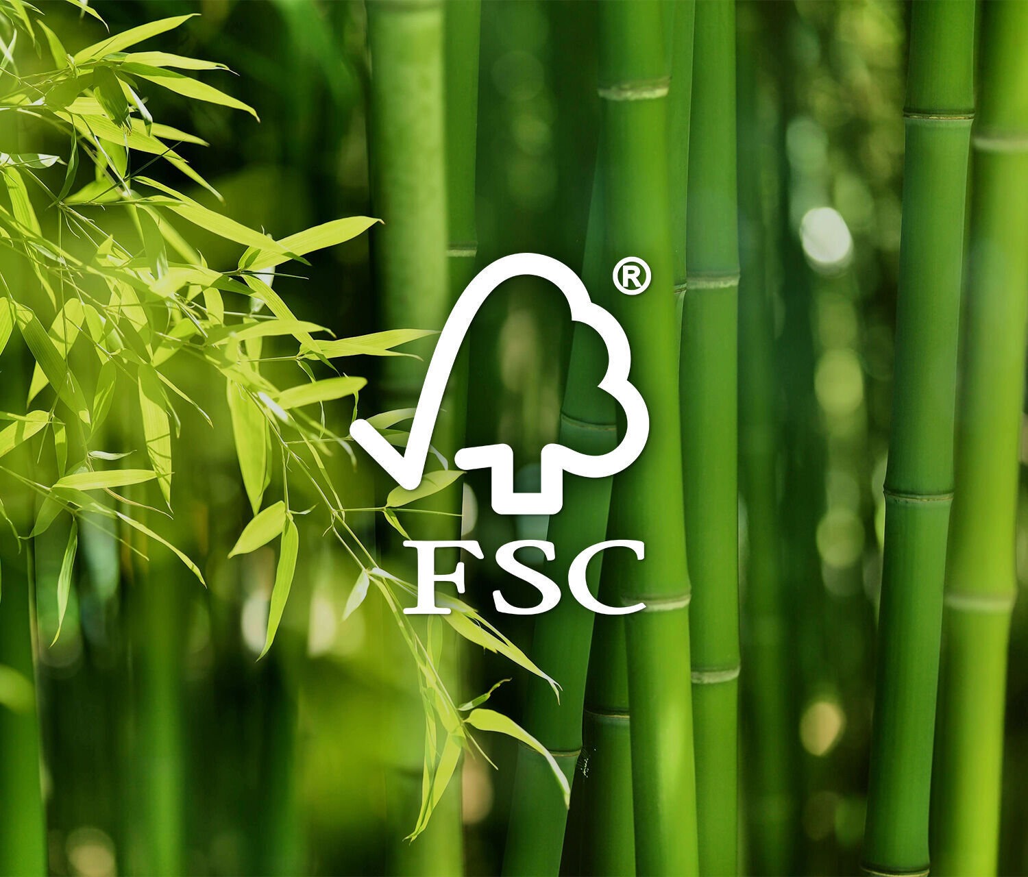 PRIMUS + Bambusplatte 1400 x 800 mm Weiß Bambus Weiß