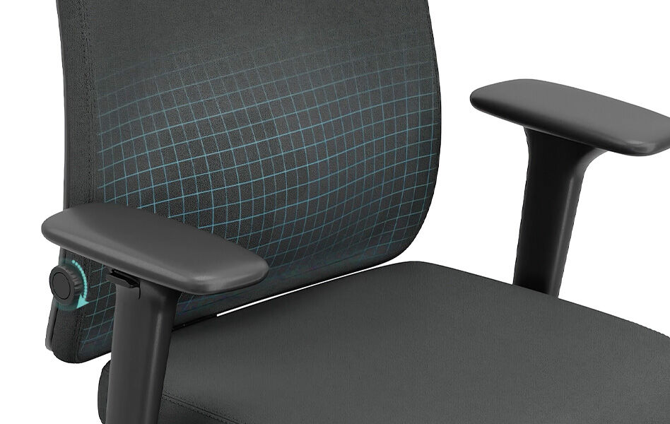 VERSTELBARE LENDENSTEUN