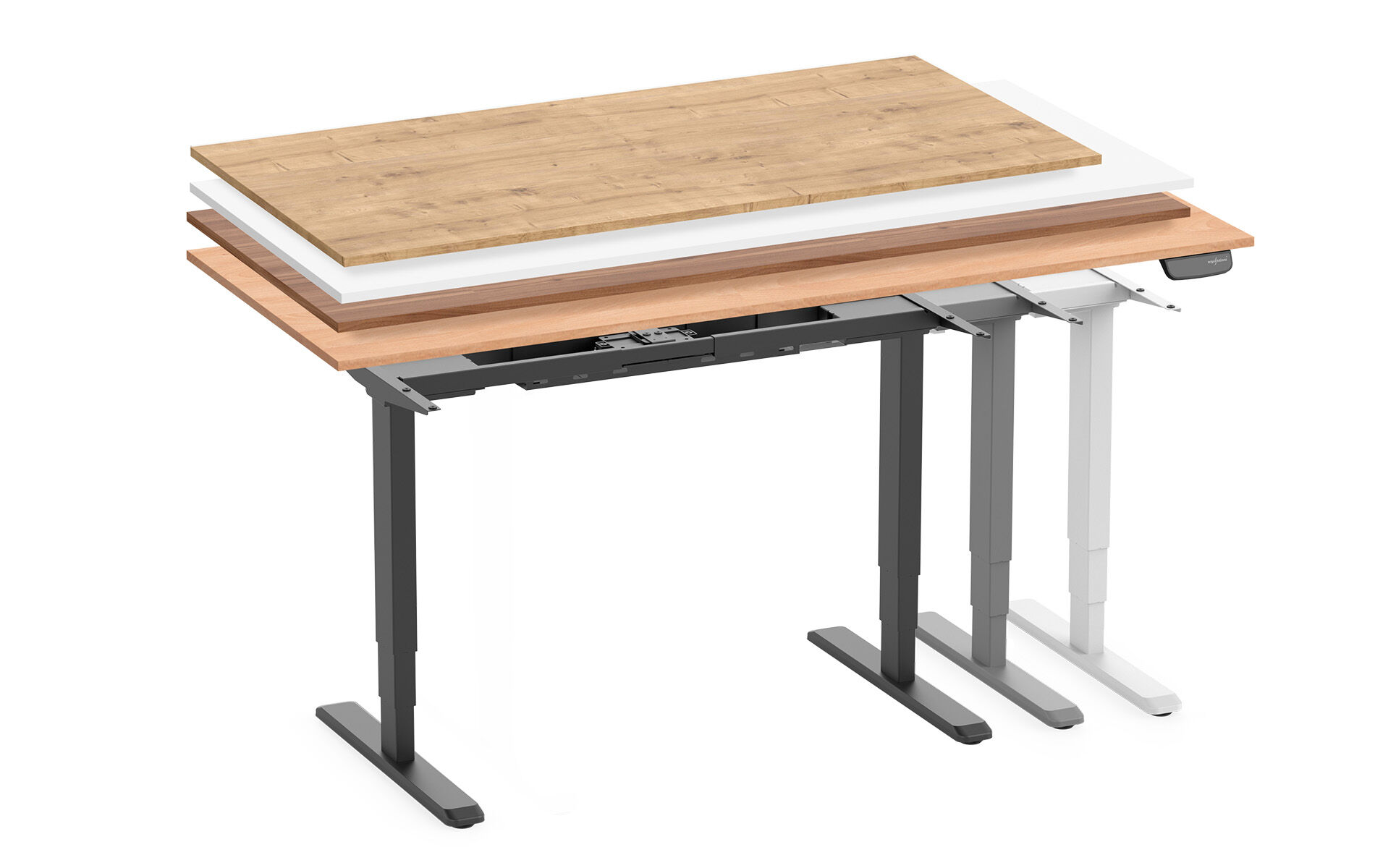 PRIMUS XL – IN 198 VARIANTEN VERFÜBAR