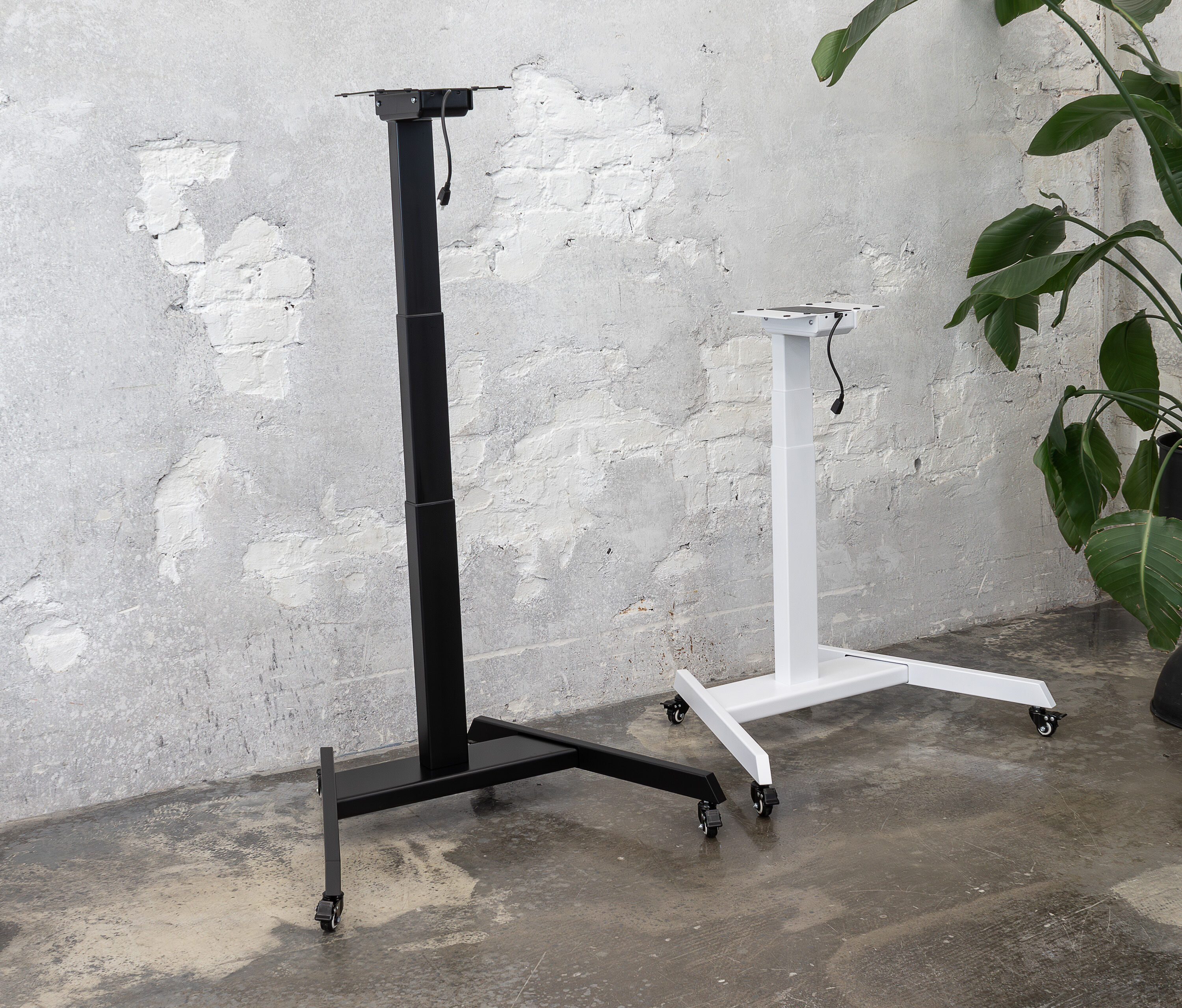 FOKUS Single Schreibtisch Schwarz Nussbaum 60x60