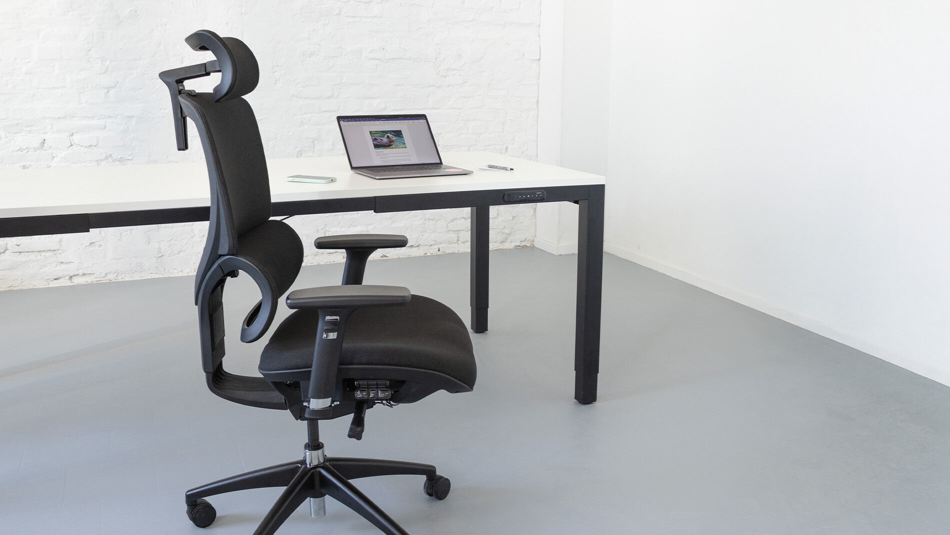 UNSERE SENTA FX MODELLE