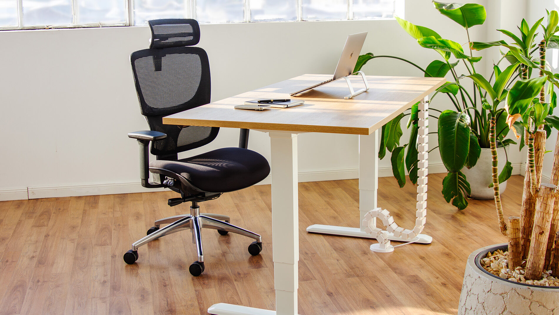 PRIMUS Speed Rechteckschreibtisch, Gestell Schwarz, Tischplatte 1600 x 800 x 19 mm Nussbaum